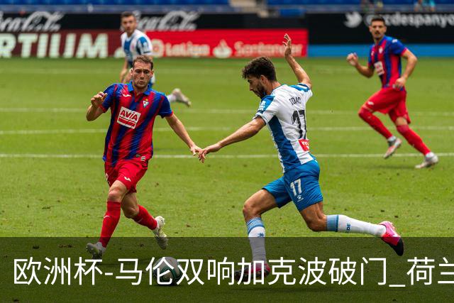 欧洲杯-马伦双响加克波破门 荷兰3-0罗马尼亚